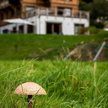 Familial Avec Sauna Et Terrasse Pres Du - Fr-1-589-758 * 克松吕-隆日梅