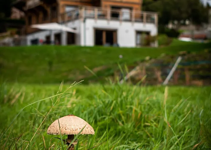 Familial Avec Sauna Et Terrasse Pres Du - Fr-1-589-758 * Xonrupt-Longemer